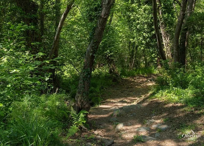 Viktoriia * San-Nicolao