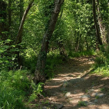 Viktoriia * San-Nicolao